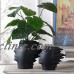 Nordic Simple Style Human Face Ceramic Vase White Black Ornament Home Desk Decor   202172935380